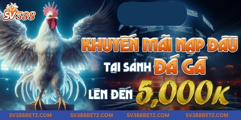 Chương trình ưu đãi dành cho thành viên sau khi tạo acc tại SV388