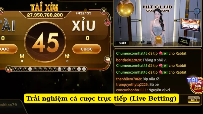 Trải nghiệm cá cược trực tiếp (Live Betting)