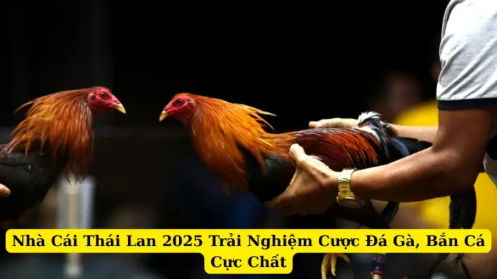 Nhà Cái Thái Lan 2025 Trải Nghiệm Cược Đá Gà, Bắn Cá Cực Chất