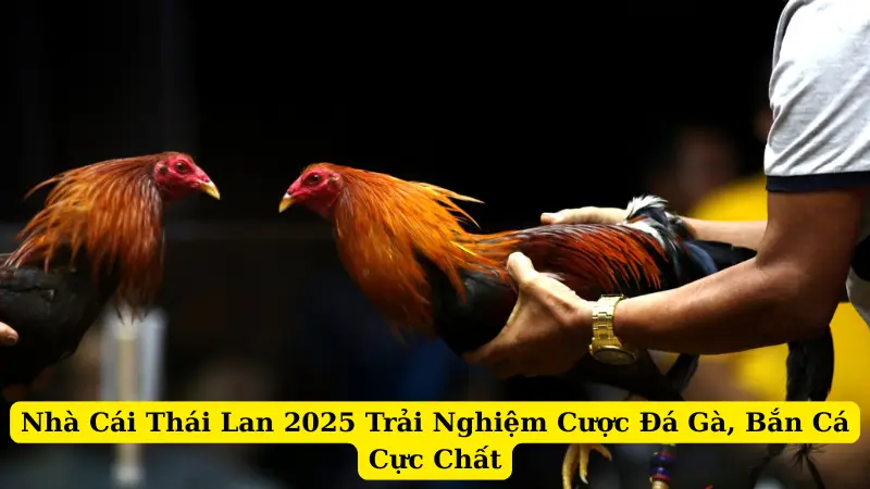 Nhà Cái Thái Lan 2025 Trải Nghiệm Cược Đá Gà, Bắn Cá Cực Chất