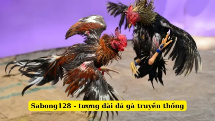 Sabong128 - tượng đài đá gà truyền thống